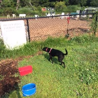 Cherry Avenue Park Dog Park photo 2